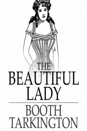Cover of the book The Beautiful Lady by Charles King
