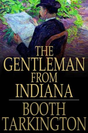 Book cover of The Gentleman From Indiana
