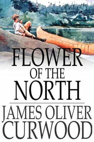 Cover of the book Flower of the North by James Fenimore Cooper