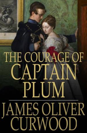 Cover of the book The Courage of Captain Plum by Clarence Winthrop Bowen