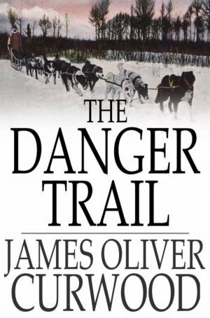 Cover of the book The Danger Trail by Vernon Lee