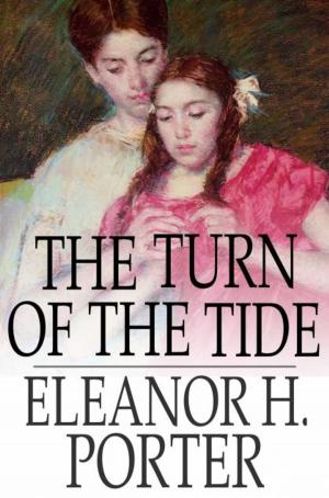 Cover of the book The Turn of the Tide by Eleanor Hallowell Abbott