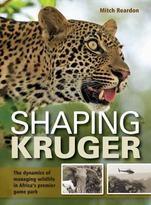 Cover of the book Shaping Kruger by Gideon Smith
