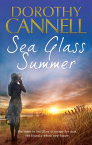 Cover of the book Sea Glass Summer by Simon Brett