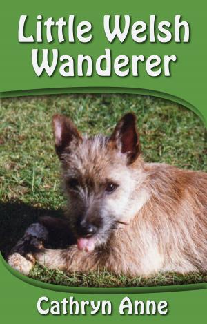 Book cover of Little Welsh Wanderer