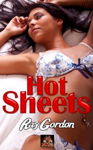 bigCover of the book Hot Sheets by 