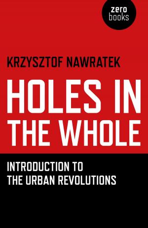 Cover of the book Holes In The Whole by Bernardo Kastrup