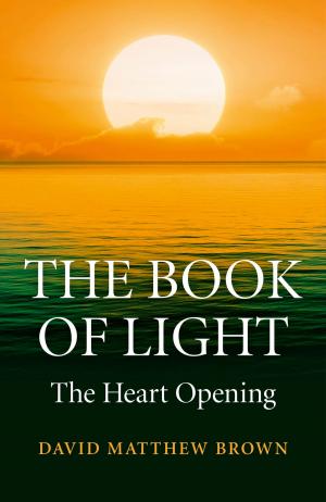 Cover of the book The Book of Light by John Roberts