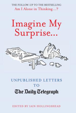 Cover of the book Imagine My Surprise... by Robert Greenfield
