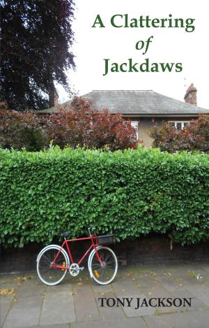 Book cover of A Clattering of Jackdaws