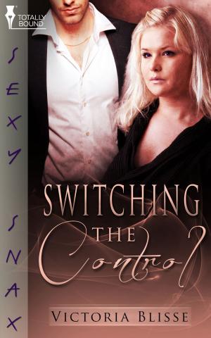 Cover of the book Switching the Control by Helena Maeve