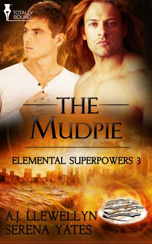 bigCover of the book The Mudpie by 