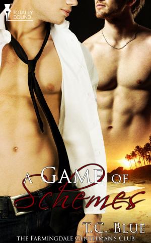 Cover of the book A Game of Schemes by Carol Lynne