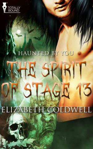 Cover of the book The Spirit of Stage 13 by KM Mahoney