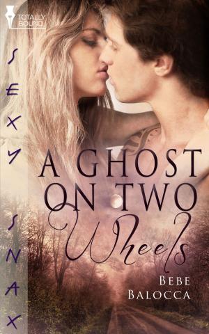 Book cover of A Ghost on Two Wheels