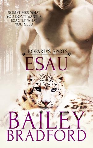 Cover of the book Esau by E. Cameron Stacy