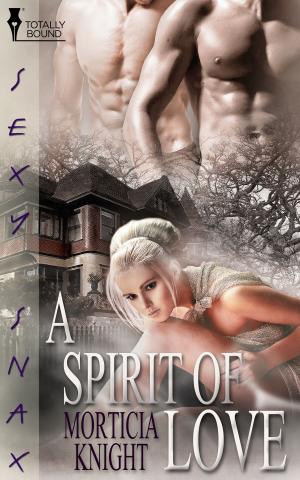 Cover of the book A Spirit of Love by Nan Comargue