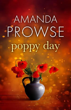 bigCover of the book Poppy Day by 