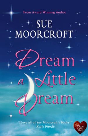Book cover of Dream a Little Dream