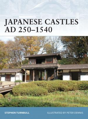 Cover of the book Japanese Castles AD 250–1540 by Professor Maggi Savin-Baden, Dr Gemma Tombs