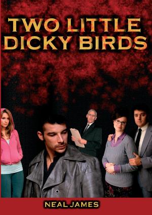 Cover of the book Two Little Dicky Birds by Dominic Macchiaroli