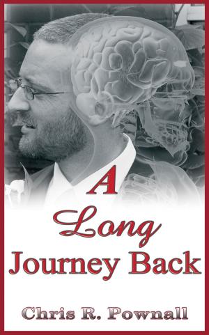 Cover of the book A Long Journey Back by Chris R. Pownall