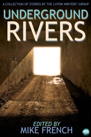 Cover of the book Underground Rivers by Nicolette Hannam