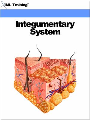 bigCover of the book Integumentary System (Human Body) by 