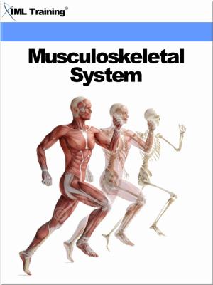 bigCover of the book Musculoskeletal System (Human Body) by 