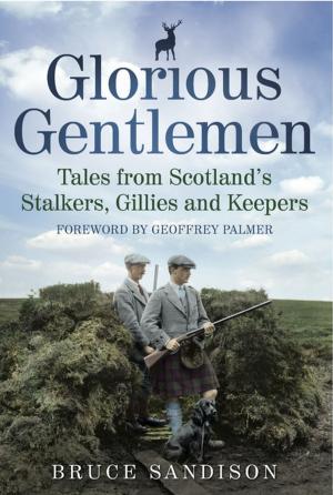 Book cover of Glorious Gentlemen