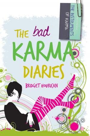 Cover of the book The Bad Karma Diaries by Siobhán Parkinson