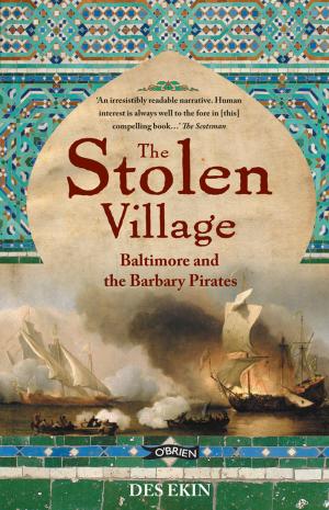 Cover of the book The Stolen Village by Oisín McGann