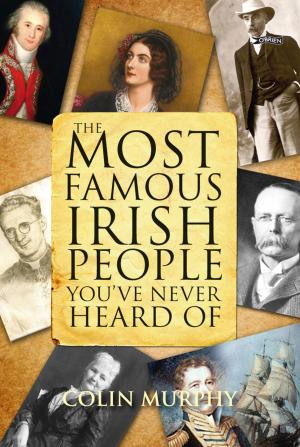 Cover of the book The Most Famous Irish People You've Never Heard Of by Wendell E. Mettey