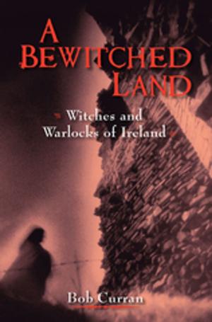 Cover of the book A Bewitched Land by Morgan Llywelyn