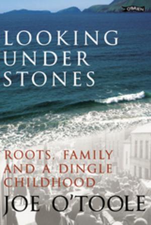 Cover of the book Looking Under Stones by Colin Murphy, Donal O'Dea