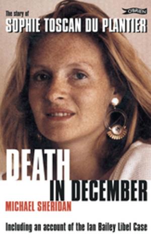 Cover of the book Death in December by Marian Broderick