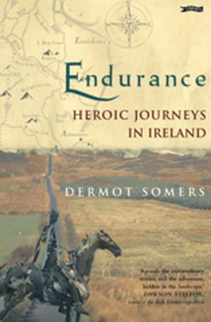 Cover of the book Endurance by Sean O'Callaghan