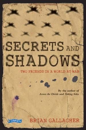 Cover of the book Secrets and Shadows by Oisín McGann