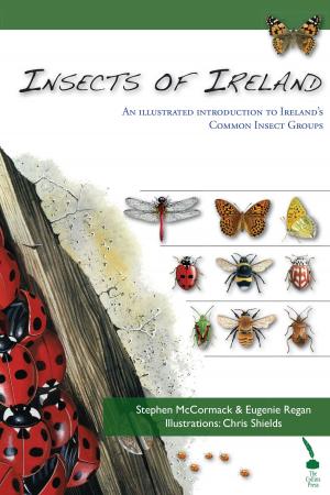 Book cover of Insects of Ireland: An illustrated introduction to Ireland's common insect groups
