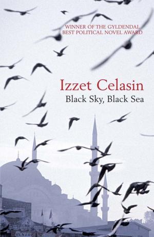 Cover of the book Black Sky, Black Sea by Jacob F. Field