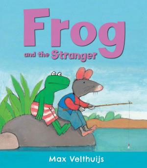 Cover of the book Frog and the Stranger by David McKee