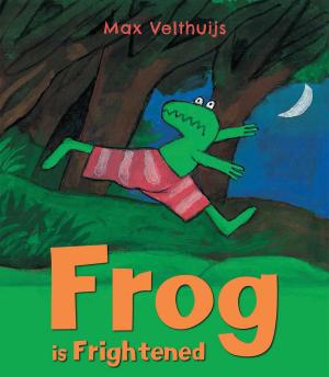 Cover of the book Frog is Frightened by Henning Mankell