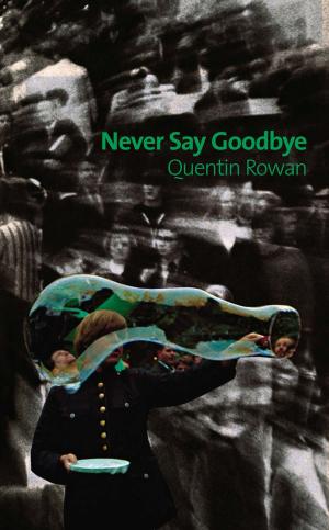 Cover of the book Never Say Goodbye by June Wright