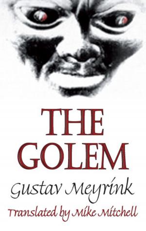Book cover of The Golem