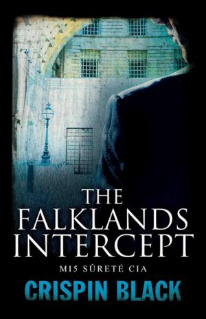 Cover of the book The Falklands Intercept by Nigel Cawthorne