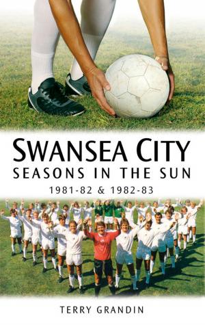 Book cover of Swansea City: Seasons in the Sun 1981-82 & 1982-83