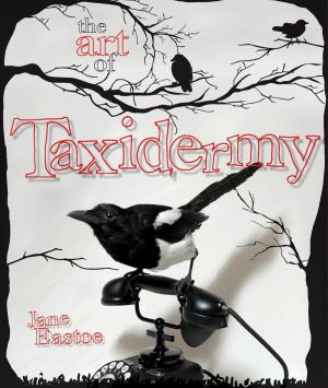 Book cover of The Art of Taxidermy