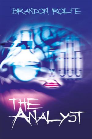 bigCover of the book The Analyst by 