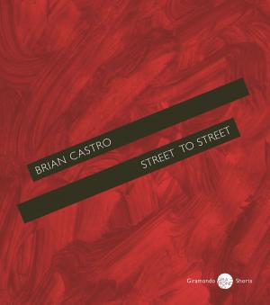 Cover of the book Street to Street by Suneeta Peres da Costa