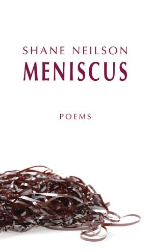 Cover of the book Meniscus by John Metcalf